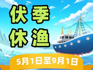 2025年威海伏季休漁政策發(fā)布！